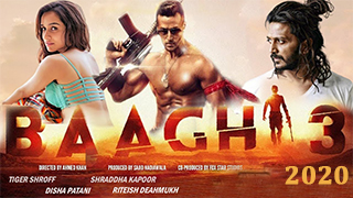 Baaghi 3